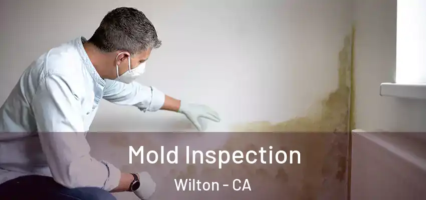  Mold Inspection Wilton - CA