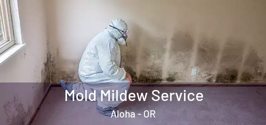 Mold Mildew Service Aloha - OR