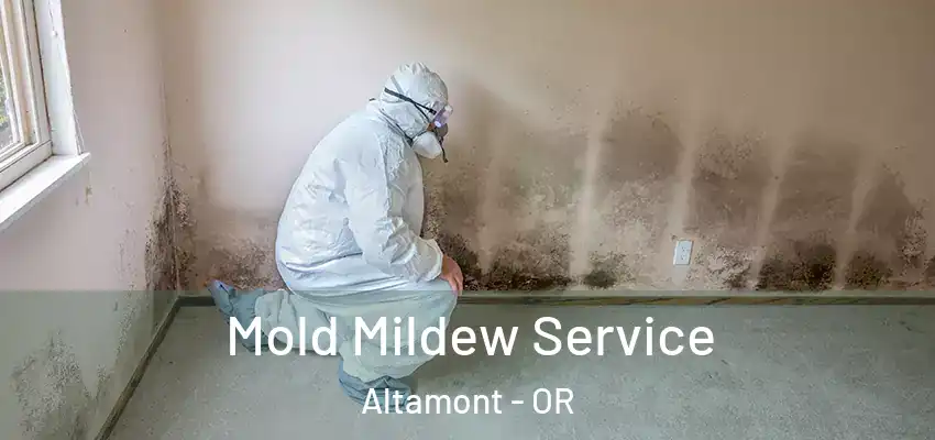  Mold Mildew Service Altamont - OR