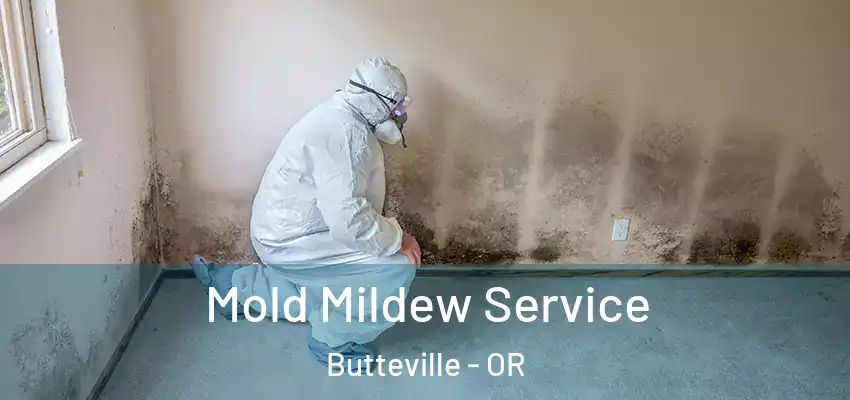  Mold Mildew Service Butteville - OR