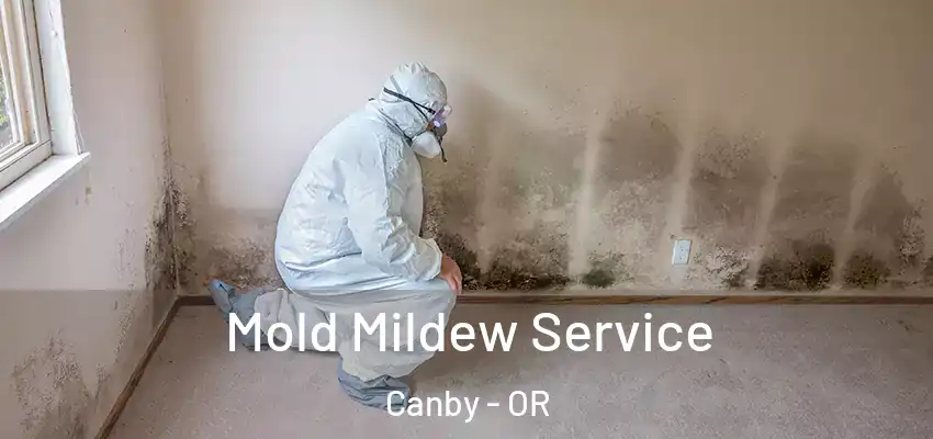 Mold Mildew Service Canby - OR