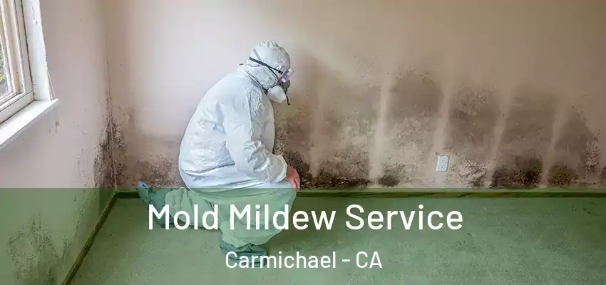  Mold Mildew Service Carmichael - CA