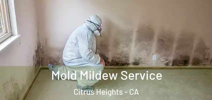  Mold Mildew Service Citrus Heights - CA