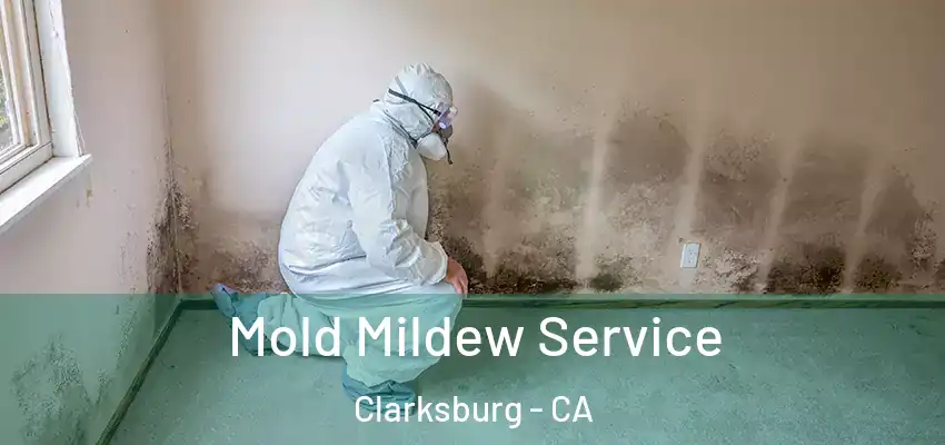  Mold Mildew Service Clarksburg - CA