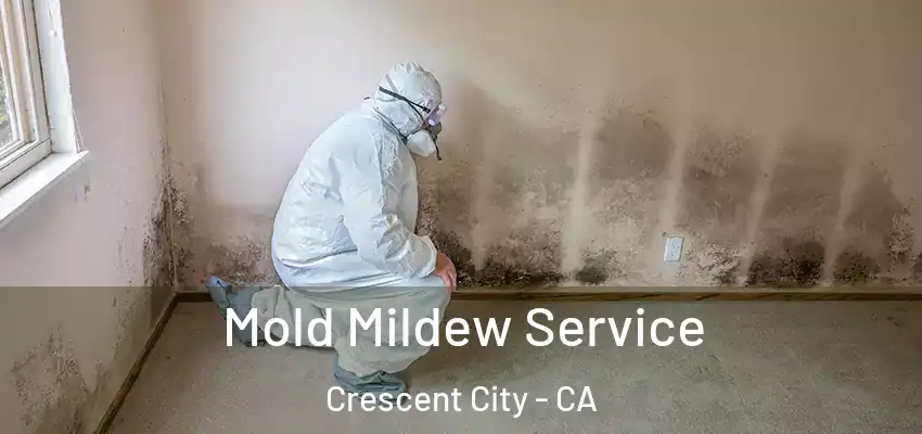  Mold Mildew Service Crescent City - CA