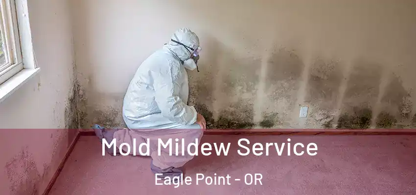  Mold Mildew Service Eagle Point - OR