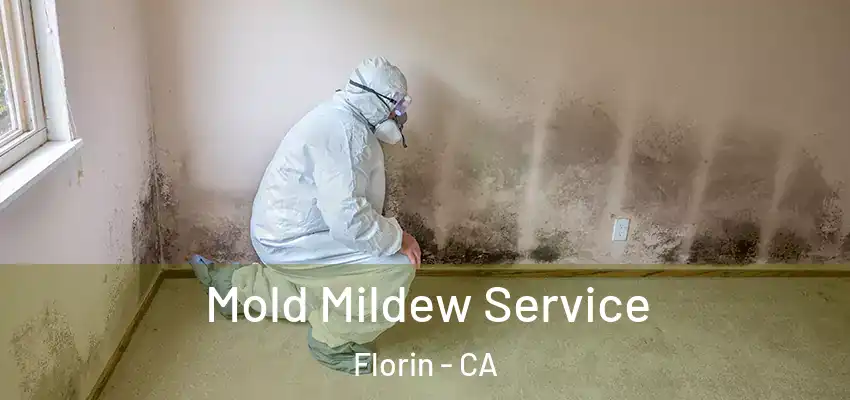  Mold Mildew Service Florin - CA