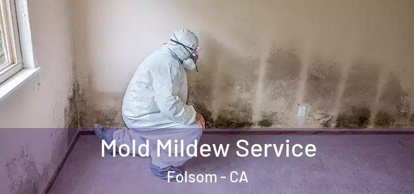  Mold Mildew Service Folsom - CA