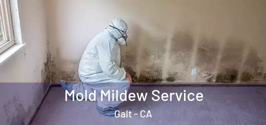  Mold Mildew Service Galt - CA