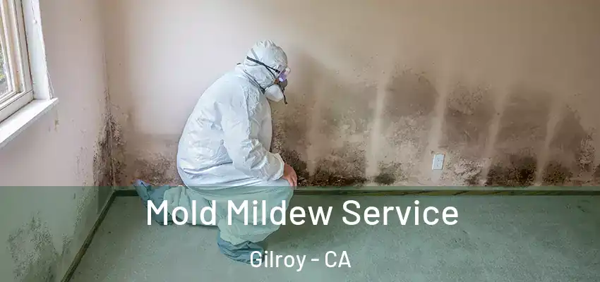  Mold Mildew Service Gilroy - CA