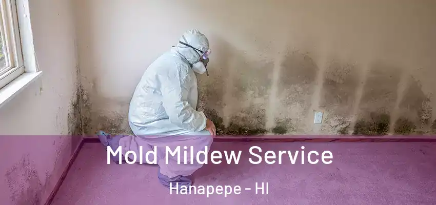  Mold Mildew Service Hanapepe - HI