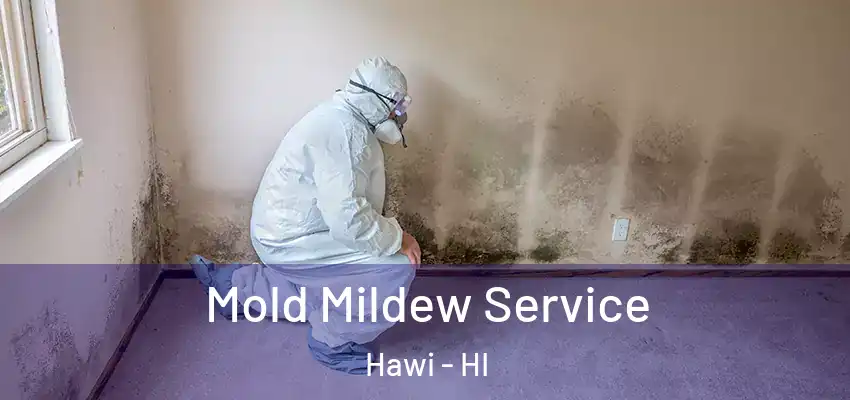  Mold Mildew Service Hawi - HI