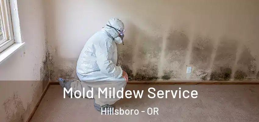  Mold Mildew Service Hillsboro - OR
