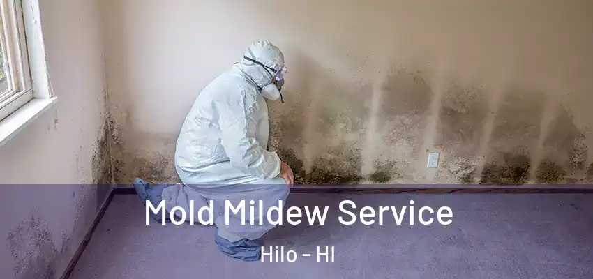 Mold Mildew Service Hilo - HI