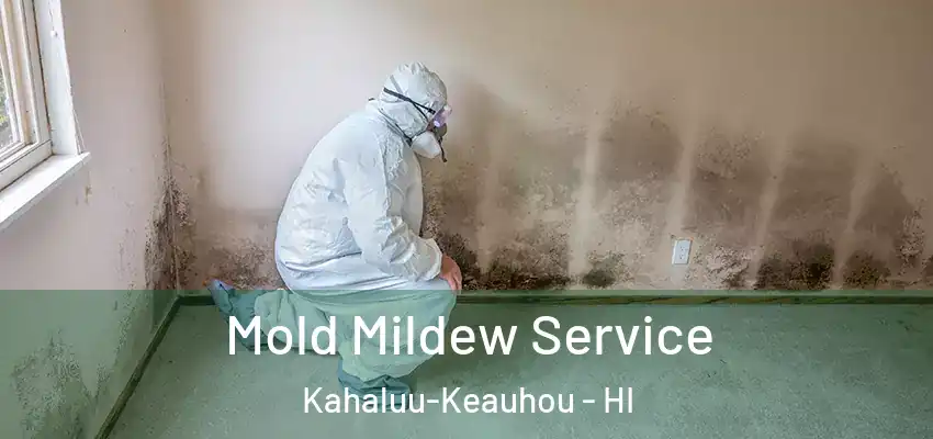  Mold Mildew Service Kahaluu-Keauhou - HI