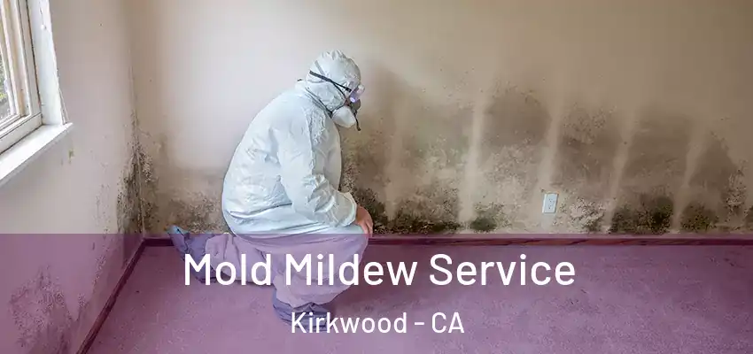 Mold Mildew Service Kirkwood - CA