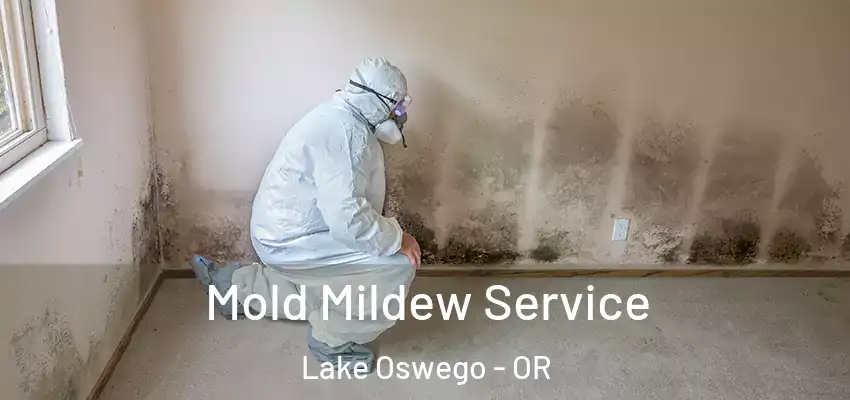 Mold Mildew Service Lake Oswego - OR