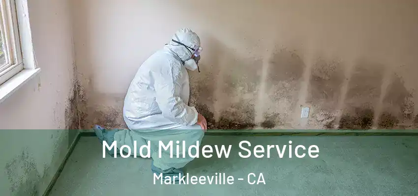  Mold Mildew Service Markleeville - CA