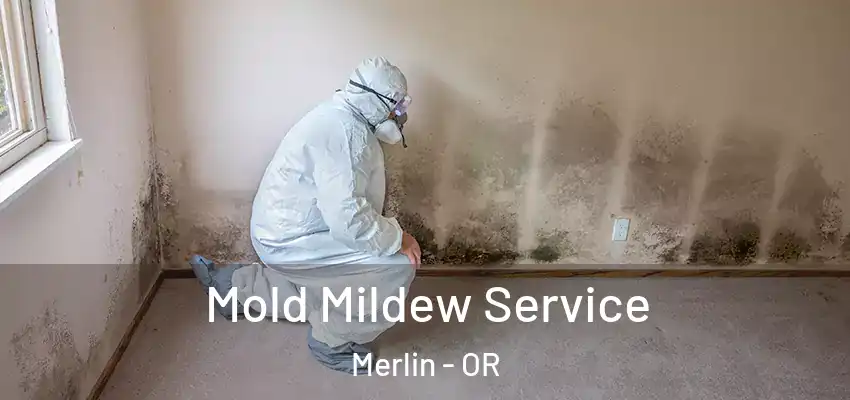  Mold Mildew Service Merlin - OR