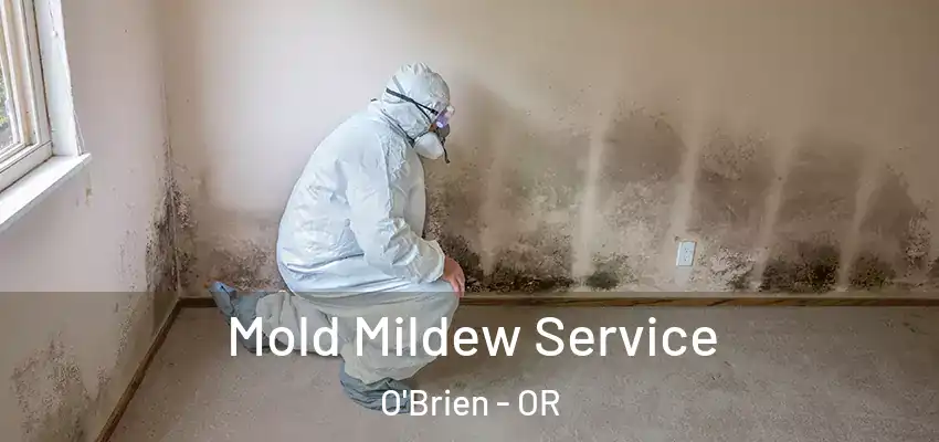  Mold Mildew Service O'Brien - OR
