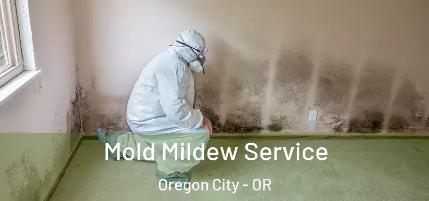 Mold Mildew Service Oregon City - OR