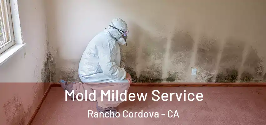  Mold Mildew Service Rancho Cordova - CA