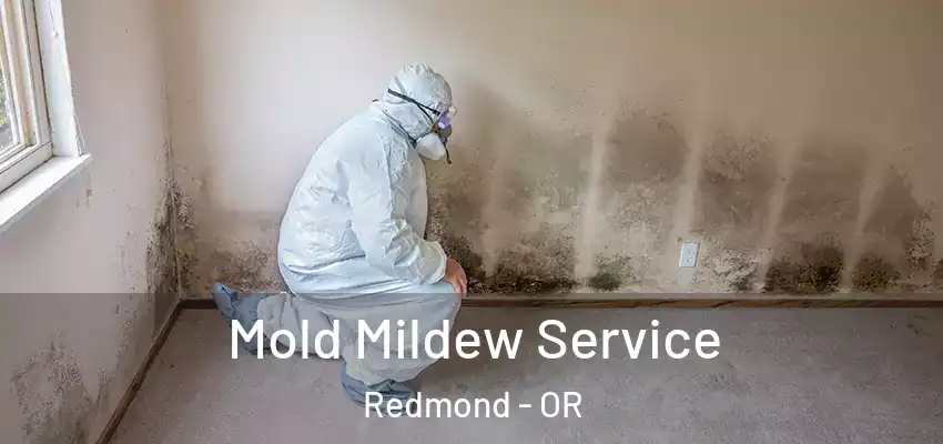  Mold Mildew Service Redmond - OR