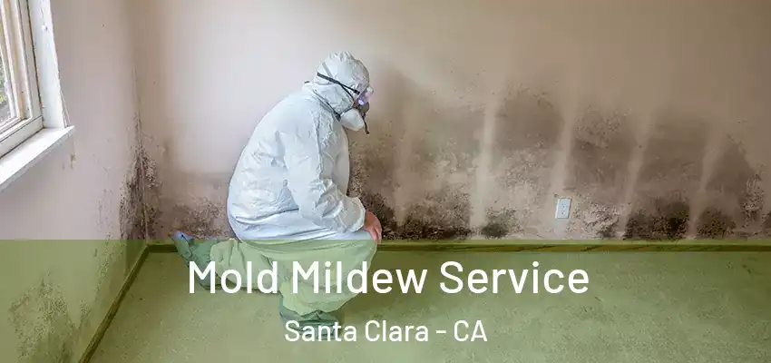 Mold Mildew Service Santa Clara - CA