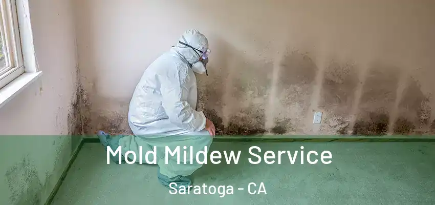 Mold Mildew Service Saratoga - CA