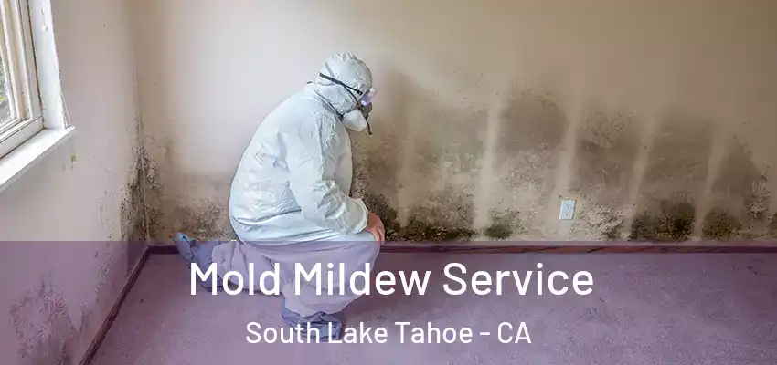  Mold Mildew Service South Lake Tahoe - CA