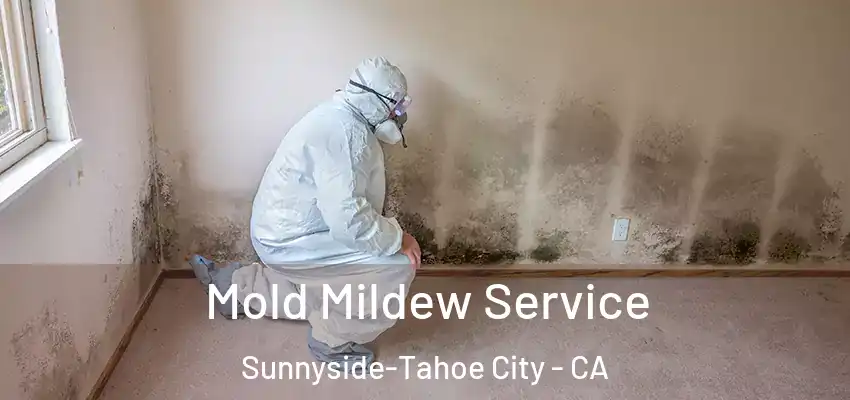  Mold Mildew Service Sunnyside-Tahoe City - CA