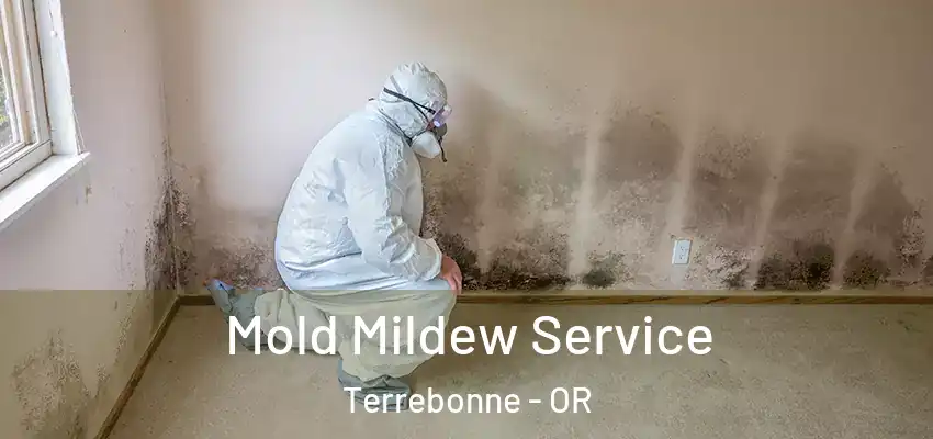Mold Mildew Service Terrebonne - OR