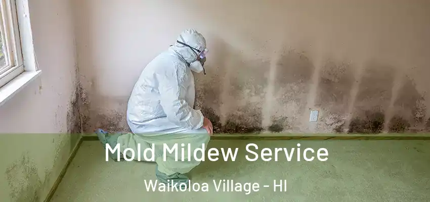 Mold Mildew Service Waikoloa Village - HI