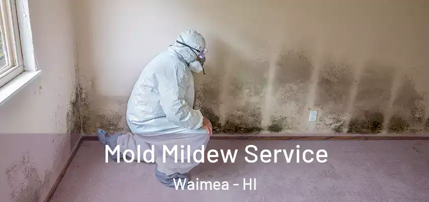  Mold Mildew Service Waimea - HI