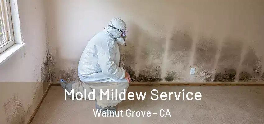  Mold Mildew Service Walnut Grove - CA