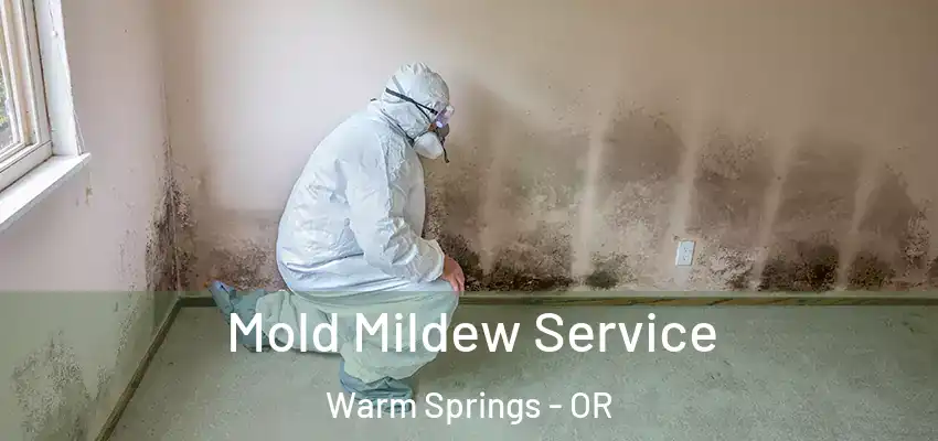 Mold Mildew Service Warm Springs - OR