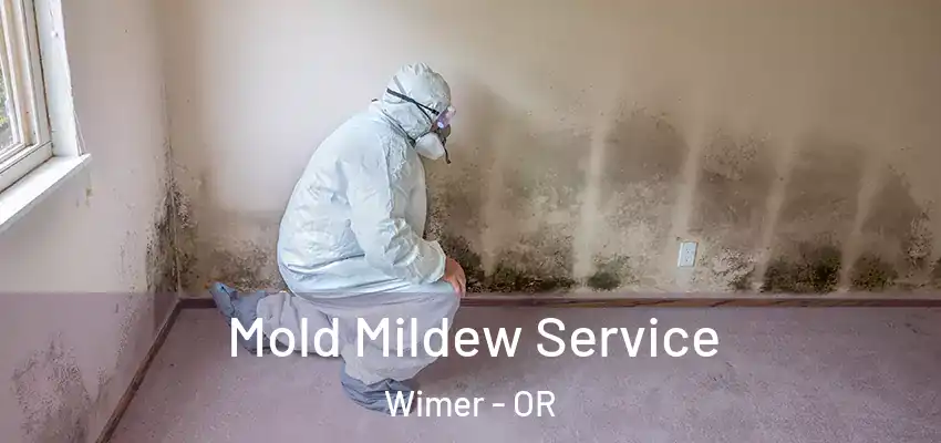  Mold Mildew Service Wimer - OR