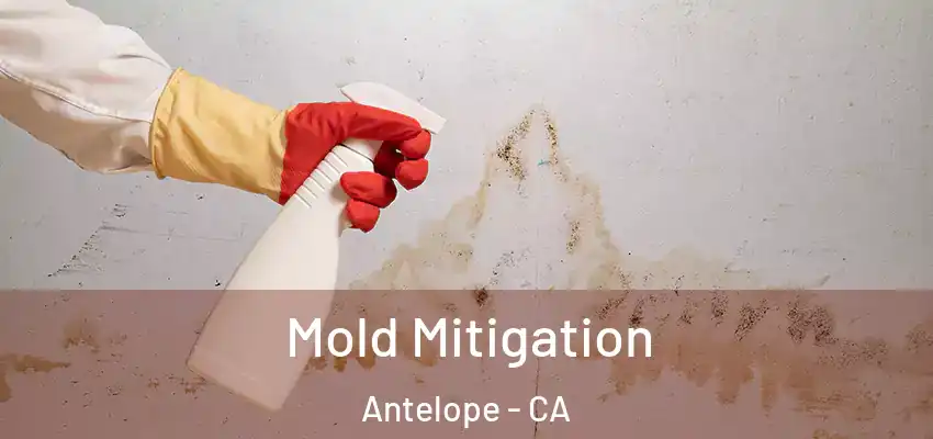  Mold Mitigation Antelope - CA