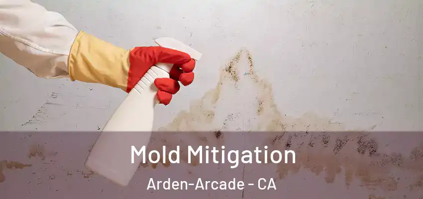 Mold Mitigation Arden-Arcade - CA