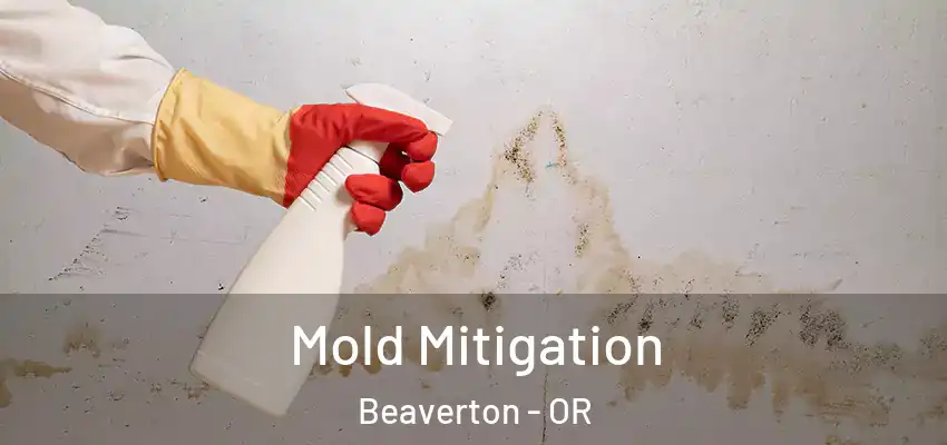  Mold Mitigation Beaverton - OR