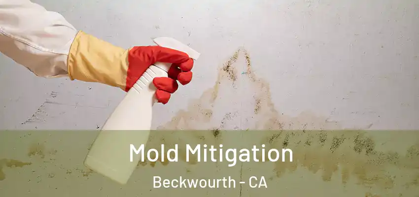Mold Mitigation Beckwourth - CA