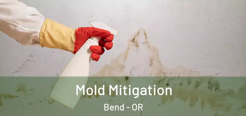  Mold Mitigation Bend - OR