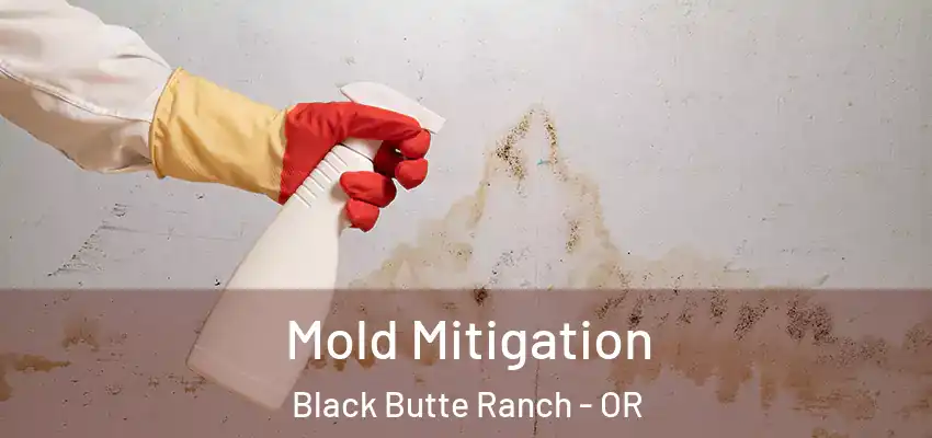  Mold Mitigation Black Butte Ranch - OR