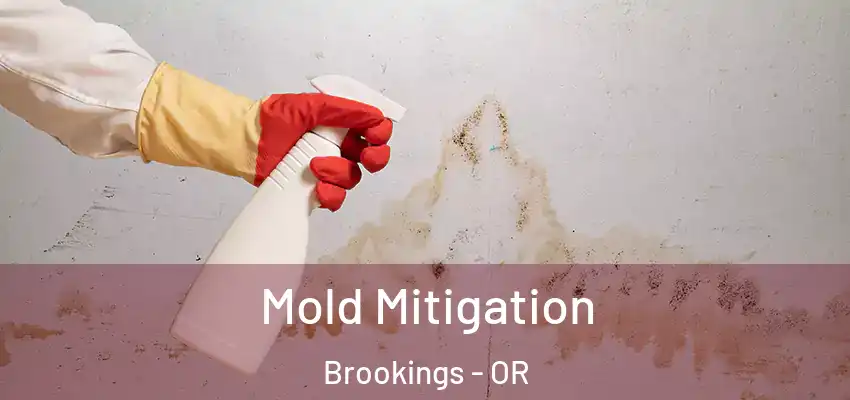  Mold Mitigation Brookings - OR