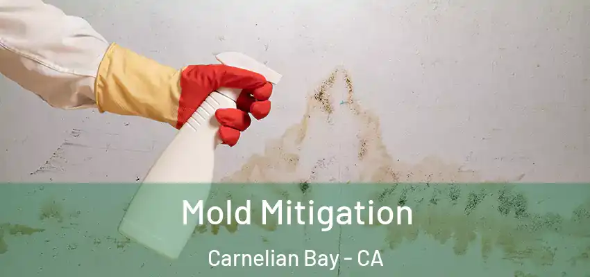  Mold Mitigation Carnelian Bay - CA
