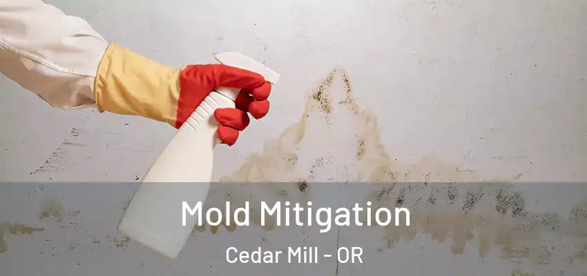  Mold Mitigation Cedar Mill - OR