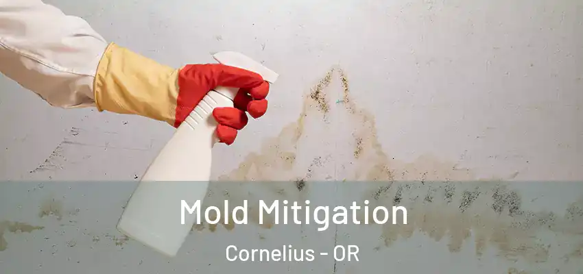  Mold Mitigation Cornelius - OR