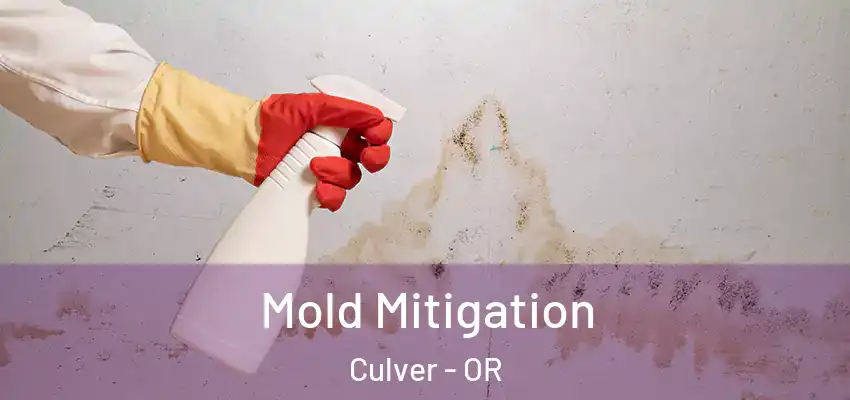  Mold Mitigation Culver - OR