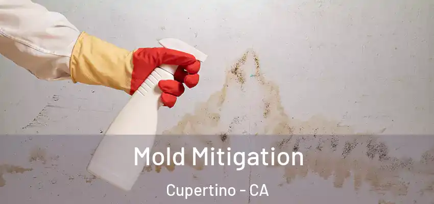  Mold Mitigation Cupertino - CA