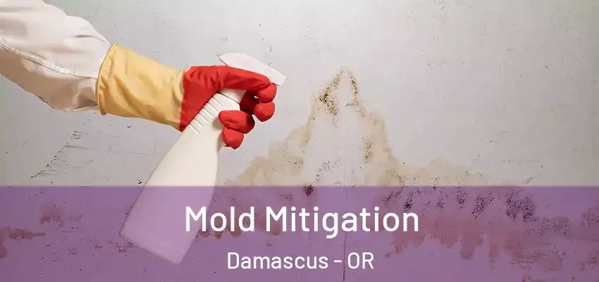  Mold Mitigation Damascus - OR